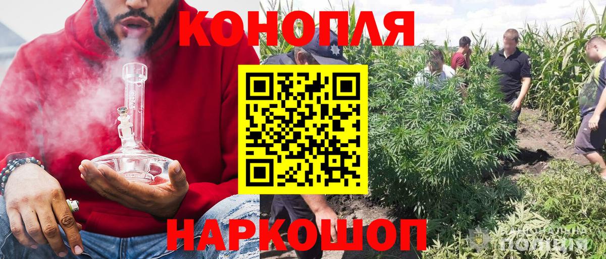 Бошки Шишки Bruce Banner  Вход с VPN  Фрязино  Шишки марихуана White Widow 